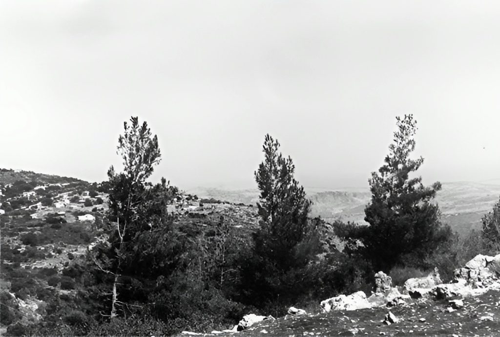 שווייץ באמירים – יחידת פג'ויה נגישה מול נופי הגליל