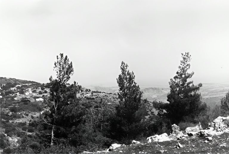 תמונת אזור להמחשה – שווייץ באמירים – יחידת פג'ויה נגישה מול נופי הגליל