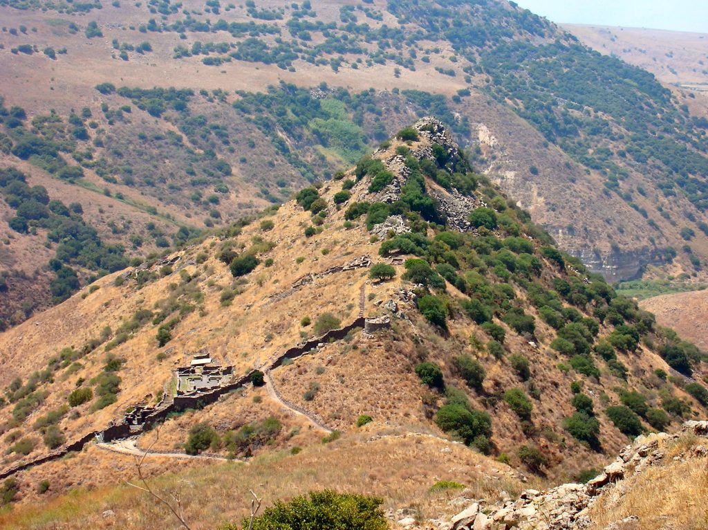 שמורת טבע גמלא – תצפיות נגישות בנופי הגולן
