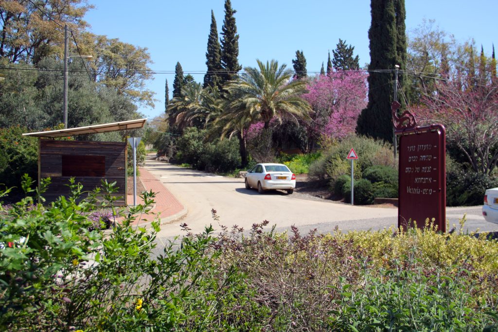 נגה אירוח כפרי במעלה גמלא – צימרים שתוכננו לנגישות