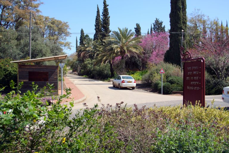 נגה אירוח כפרי במעלה גמלא – צימרים שתוכננו לנגישות