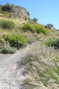 גן לאומי כורסי – אתר נגיש לחוף הכנרת