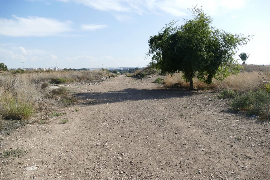 גן לאומי ירקון – תל אפק: פארק נגיש במרכז הארץ
