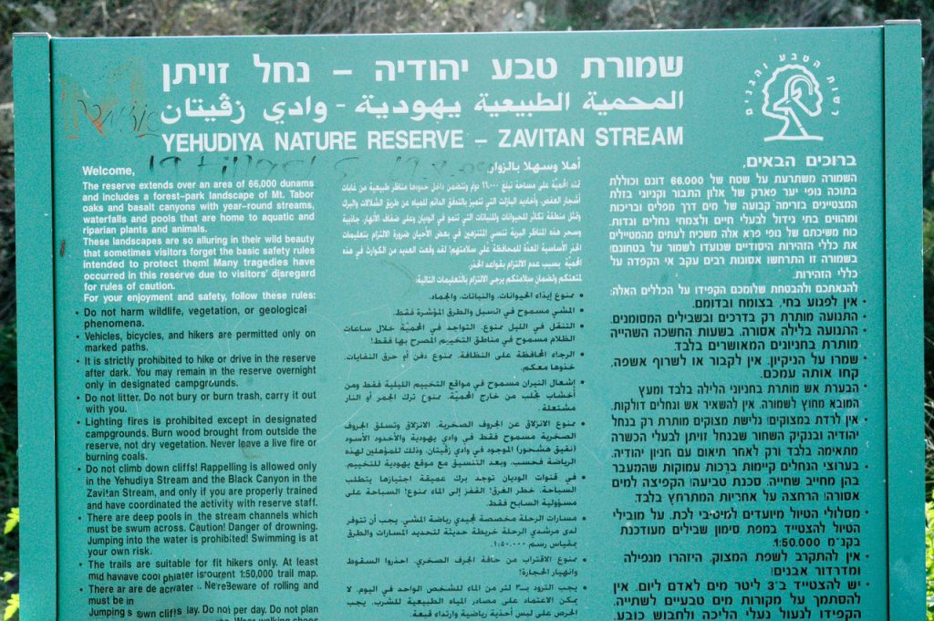 חניון לילה יהודיה – קמפינג נגיש ברמת הגולן