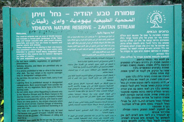 תמונת אזור להמחשה – חניון לילה יהודיה – קמפינג נגיש ברמת הגולן