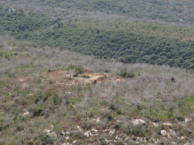 תמונת אזור להמחשה – זהר בדשא בקיבוץ דליה – בקתה נגישה ברמות מנשה