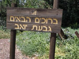 תמונת אזור להמחשה – באיי גאלי בגבעת יואב – כפר נופש עם חדרים נגישים